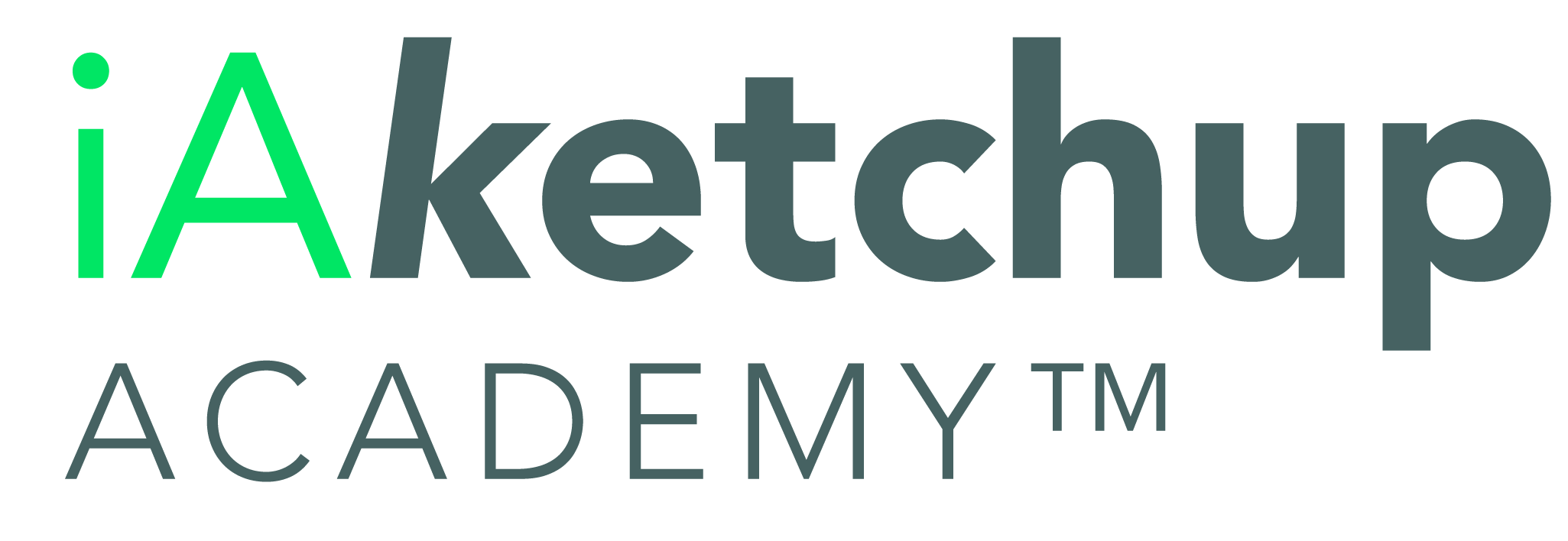 iAketchup ACADEMY™